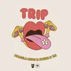 About TRIP Song