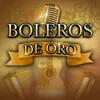 About EL CARRETERO Song