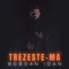About Trezeste-ma Song