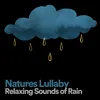Natures Lullaby Relaxing Sounds of Rain, Pt. 1