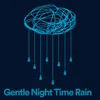 Gentle Night Time Rain, Pt. 1