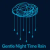 Gentle Night Time Rain, Pt. 7