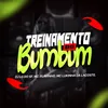About Treinamento do Bumbum Song
