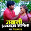 About Jawani Asardar Lagela Song