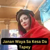 About Janan Waya Sa Kesa Da Tapey Song