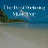 About The Best Relaxing Music For Song
