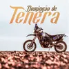 About Domingão de Tenera Song