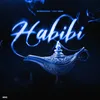 Habibi