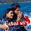 About Sanam Rey Song