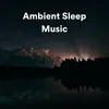 Sleep Frequency Music