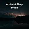 Sleep Guided Meditation