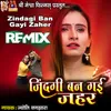 About Zindagi Ban Gayi Zaher Song