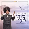 About שובו אלי Song