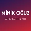 About Ankaralının Biri Song