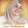 Cinta Tak Menyerah