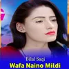 About Wafa Naino Mildi Song