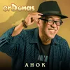 About Ahok Song