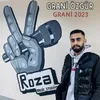 About Grani 2023 Song