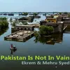 Pakistan Is Not In Vain