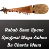 About Rabab Saaz Spene Spogmai Waya Ashna ba Charta Wena Song