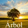 About Árbol Song