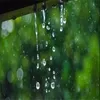 山林雨露