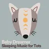 Baby Dreamer Sleeping Music for Tots, Pt. 1