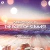 About The Boys Of Summer Song
