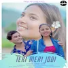 About Teri Meri Jodi Song