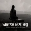 About Wish You Were Here Song