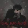 About Sau Bao Ngày Song