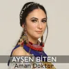 About Aman Doktor Song