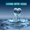 Camina Entre Aguas