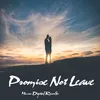 About Promise Not Leave Song