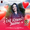 About Dil Kyun Jaane Song