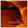About The Art of Yoga Song