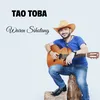 About Tao toba Song