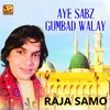 About Aye Sabz Gumbad Walay Song