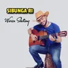 About Sibunga Ri Song