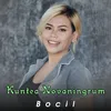 Bocil