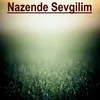 About Nazende Sevgilim Song