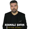 About TikTok Güzeli Song