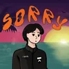 About Sorry Song