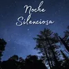 Noche Silenciosa