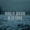 Lluvia Para Aliviar El Cuerpo Y La Mente