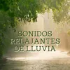 Sonidos Relajantes de Lluvia