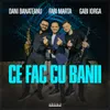 About Ce fac cu banii Song