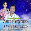 About Ore Sajana Song