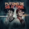 About Putona De Silicone Song