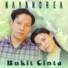 About Bukit Cinta Song